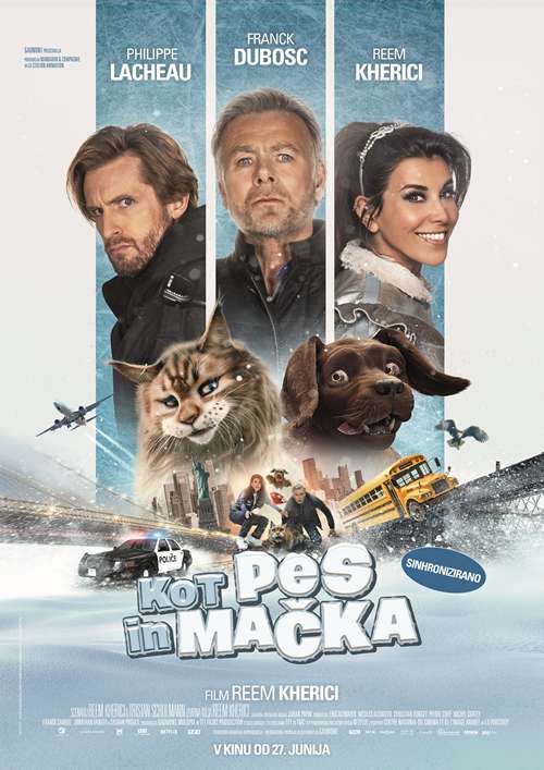 Kot pes in mačka