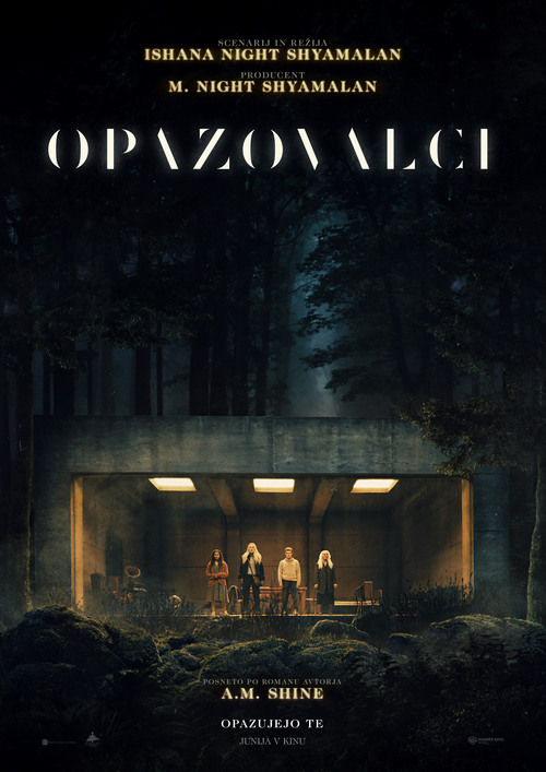 Opazovalci