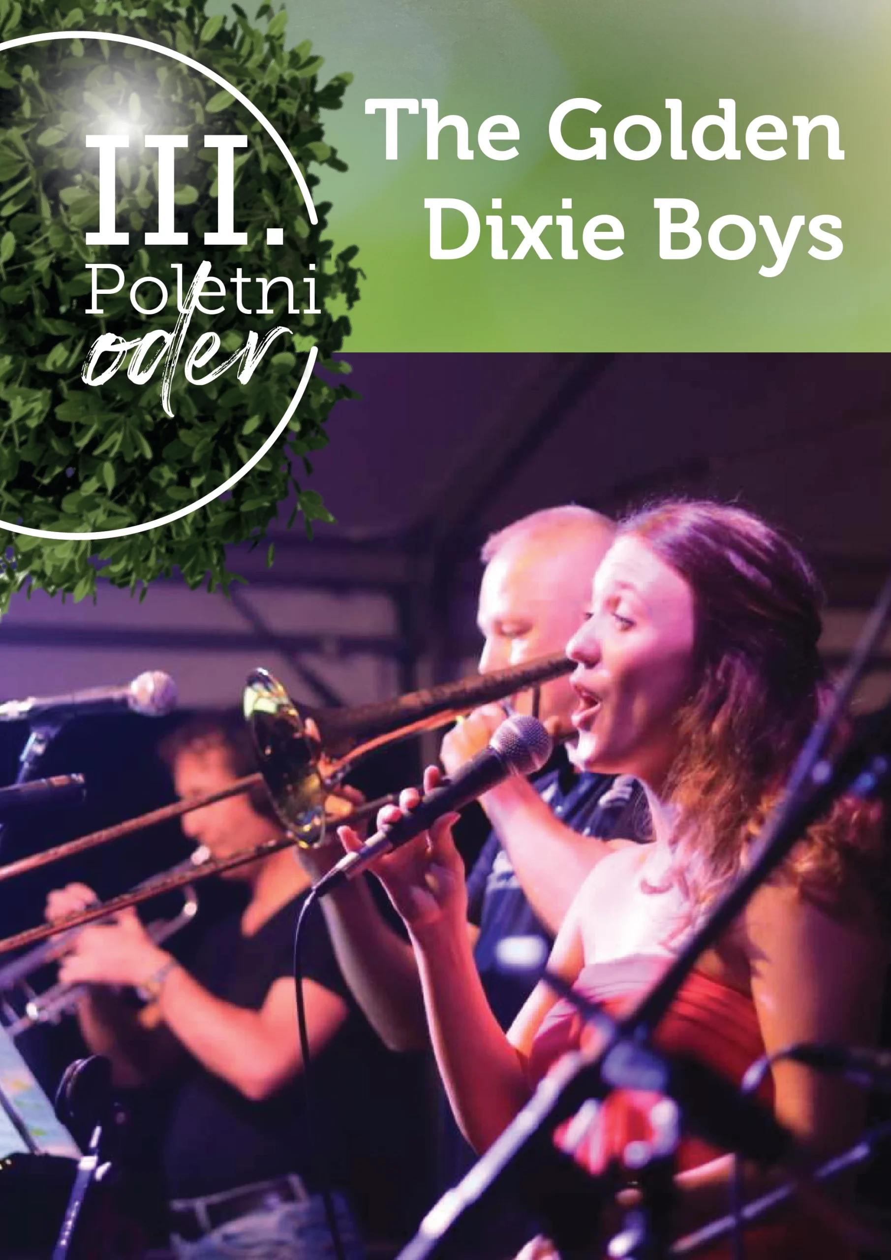 The Golden Dixie Boys