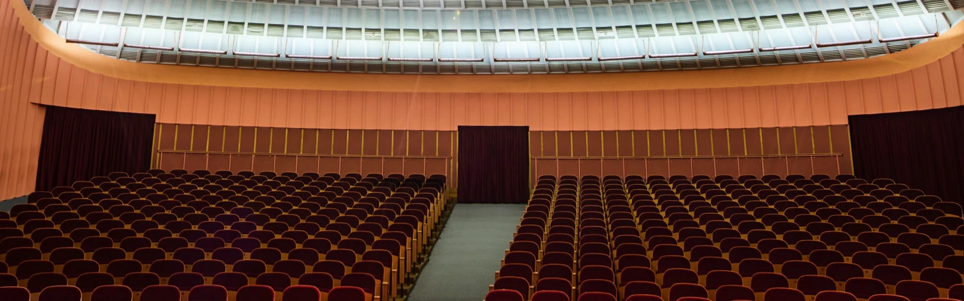 pasica Delavski dom Trbovlje