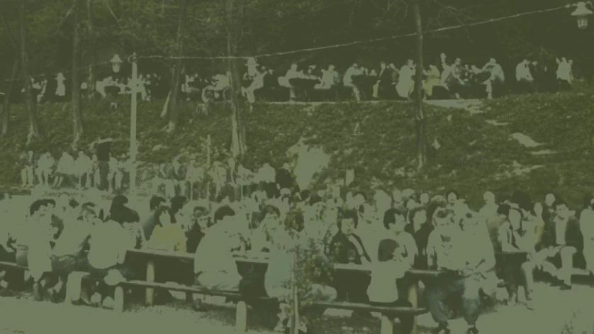 dekoracija Predstavitev knjige Dobrna med cvetočimi akacijami