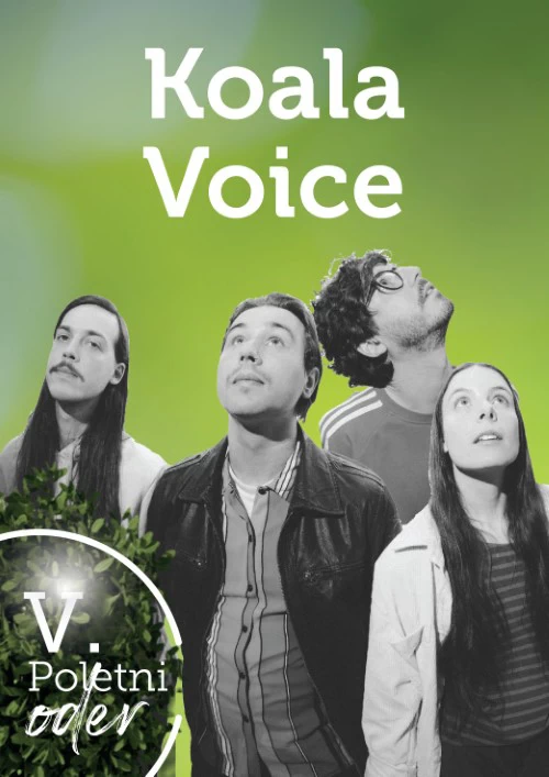 Koala Voice